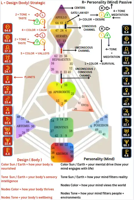 “Diagram of a real Human Design chart using True Sidereal astronomy, showing the nine centers, channels, planetary positions, and simple explanations of body and mind mechanics