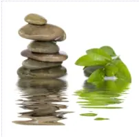 Stack of smooth stones beside green leaves, reflected in calm water, symbolizing balance and natural harmony.
