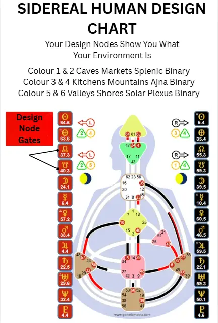 Diagram of a True Sidereal Human Design Chart showing Where The Nodes Live Inside The Chart
