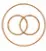 Biological binary and Inner Authority