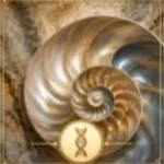 “Spiral seashell with biological DNA symbol representing embodied intelligence”