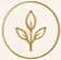 Gold line icon of a growing plant symbolizing opportunity and development